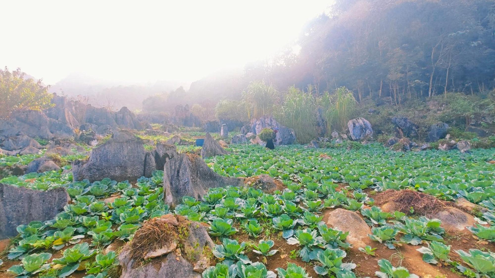 Nha Co Lao Xa Homestay Hmong & Bungalow Air Conditioner ส่งวัน ภายนอก รูปภาพ